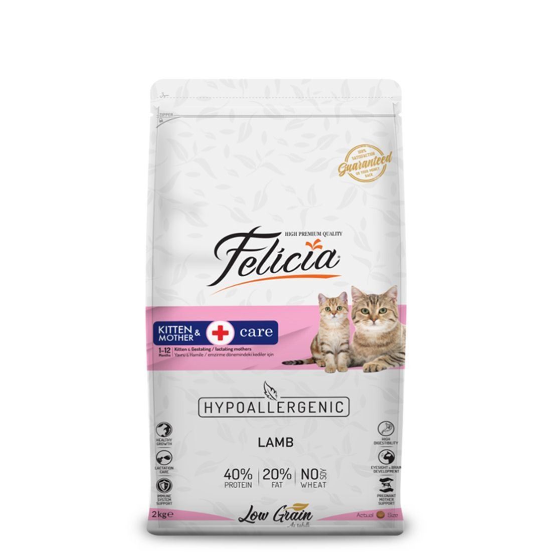 Felicia 12 kg Kitten & Mother