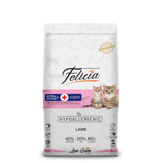 Felicia 12 kg Kitten & Mother