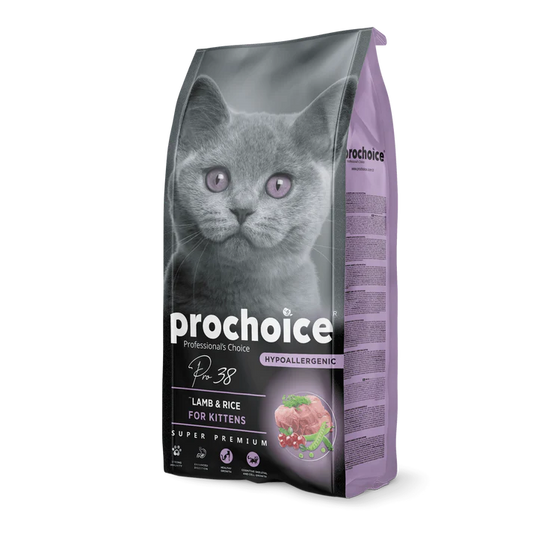 Prochoice Lamb & Rice Recipe | Kitten