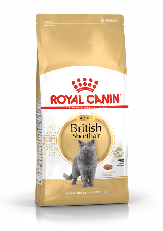 Royal Canin British Shorthair 4k