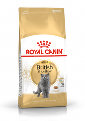 Royal Canin British Shorthair 4k
