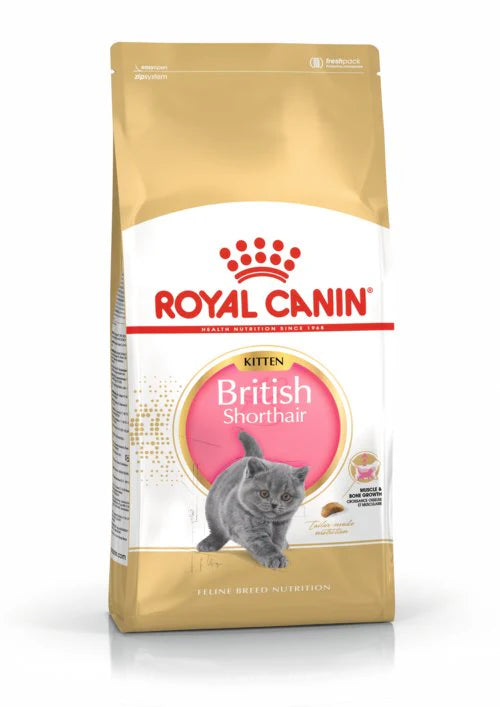 Royal Canin British kitten 2k